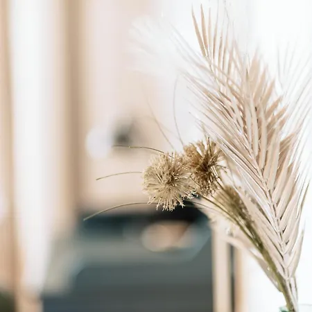 Deichstadt 아파트