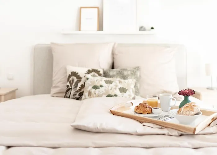 Deichstadt 新维德